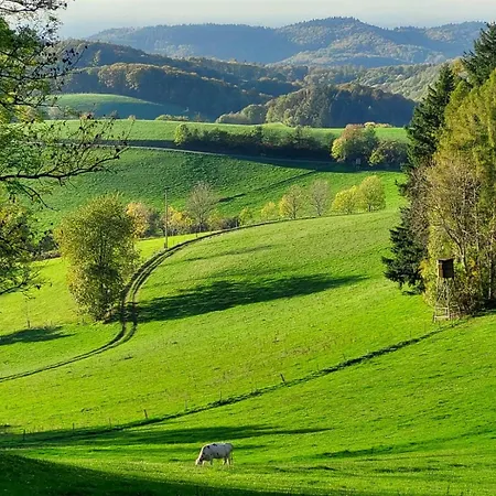 92qm Allergikerfreundlich 2 Schlafzimmer 2 Wc Terrasse Gorxheimertal