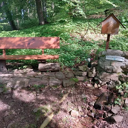 92qm Allergikerfreundlich 2 Schlafzimmer 2 Wc Terrasse * Gorxheimertal