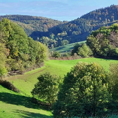 アパート 92qm Allergikerfreundlich 2 Schlafzimmer 2 Wc Terrasse *