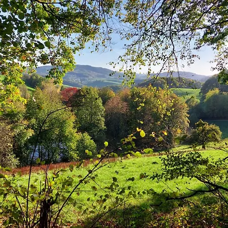 Apartamento 92qm Allergikerfreundlich 2 Schlafzimmer 2 Wc Terrasse Gorxheimertal