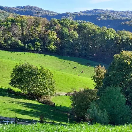 92qm Allergikerfreundlich 2 Schlafzimmer 2 Wc Terrasse Gorxheimertal